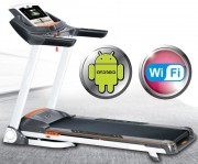    Fitex Stells s-dostavka -      