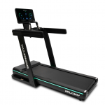   BRONZE GYM WALKWAY    - --.