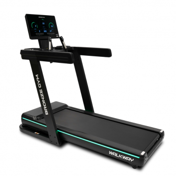   BRONZE GYM WALKWAY    - --.