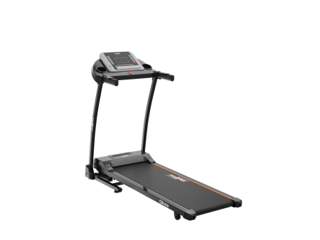 ������� ������� ������������� Proxima Olivia PROT-230 ��� ���� sportsman - ������-�������-�������.��